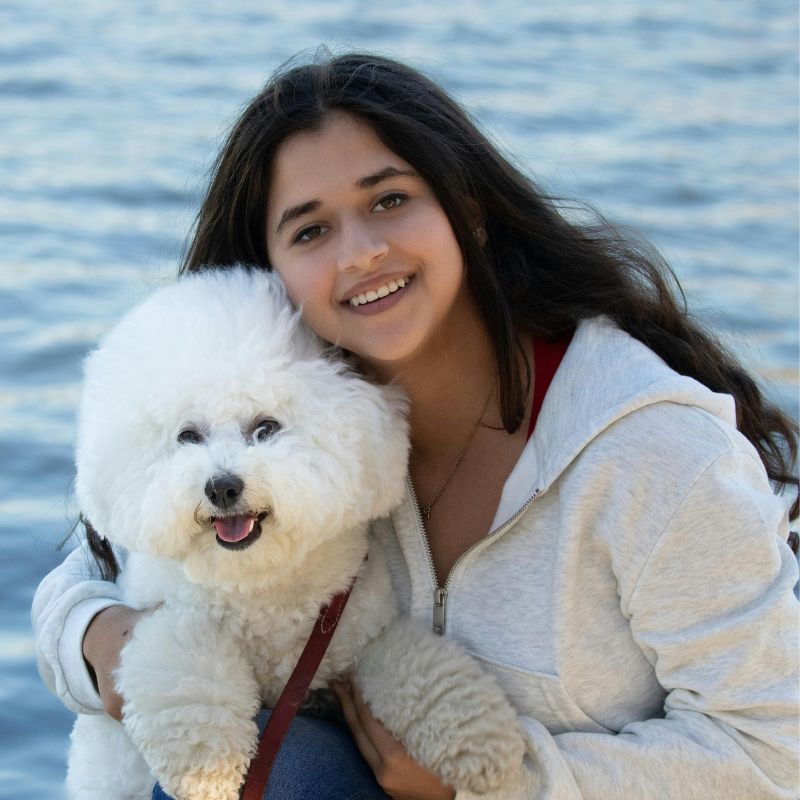 Why the Bichon Frise Personality Is So Special – Fluffy Hearts, Big Smiles!