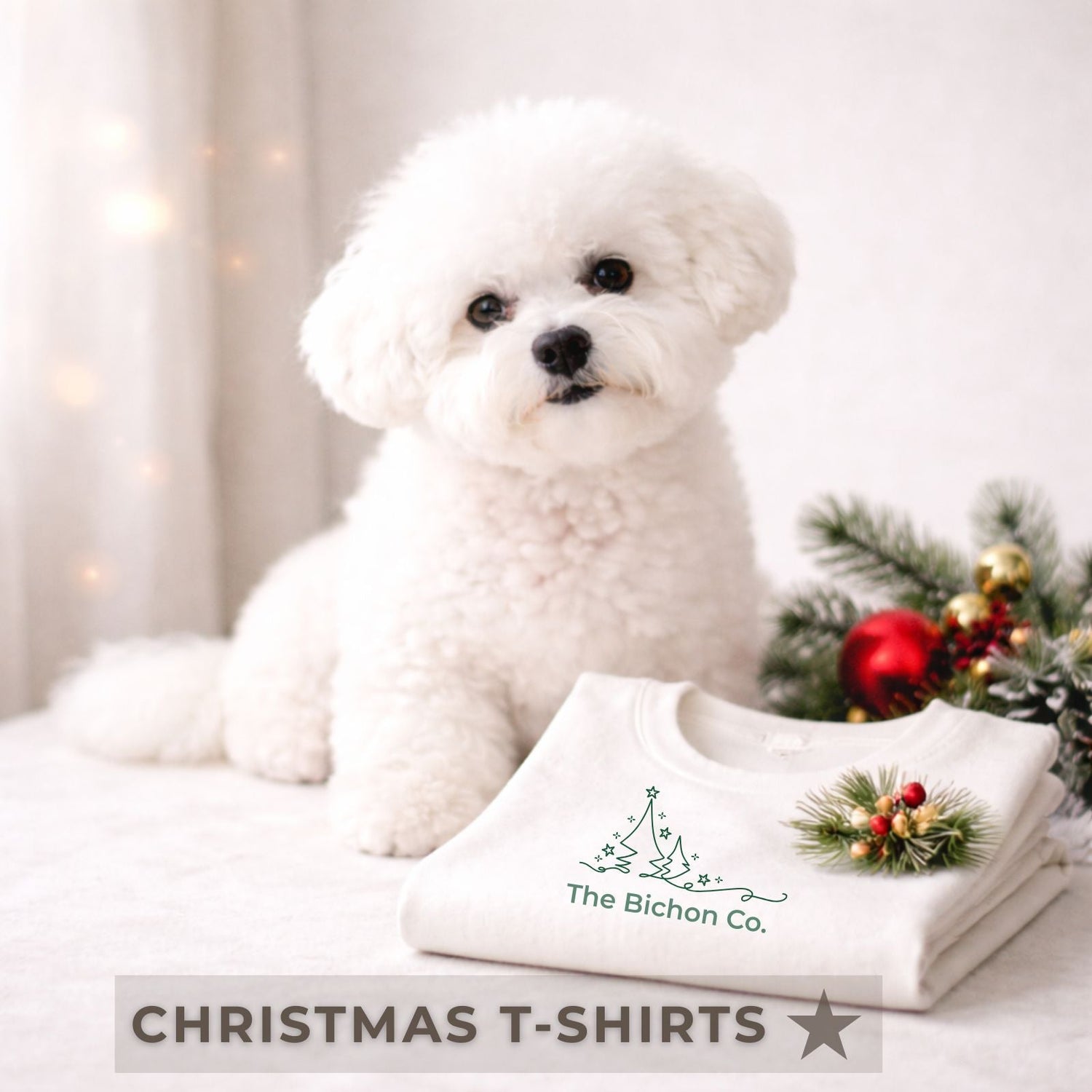 Christmas T-shirts
