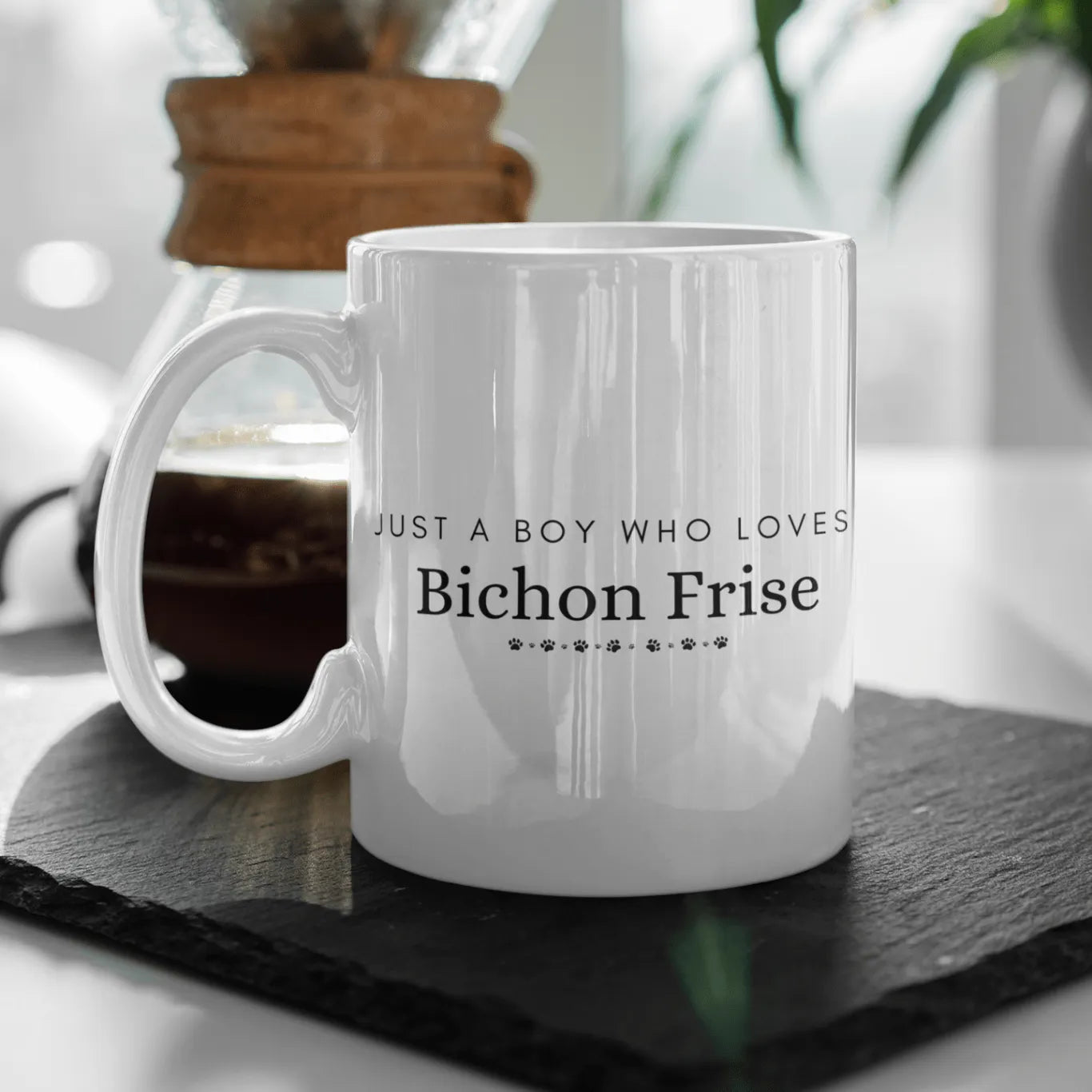 "Just A Boy Who Loves Bichon Frise"-White glossy mug for Bichon Frise dog owners